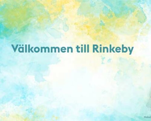 Välkommen till Rinkeby!