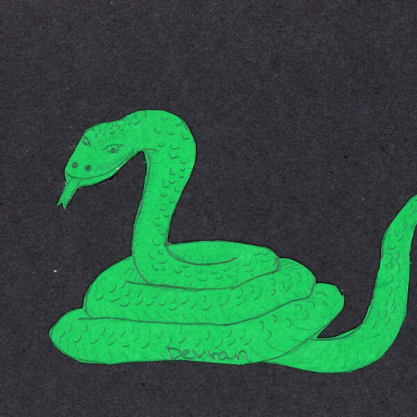 En orm tecknad av Devran.
